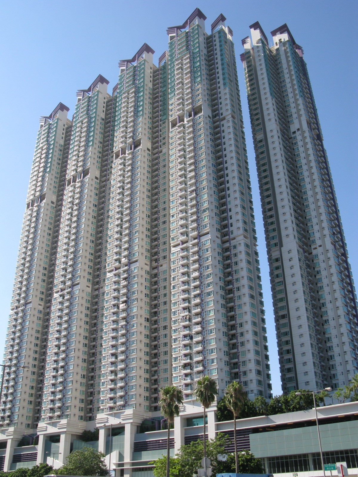 維基百科