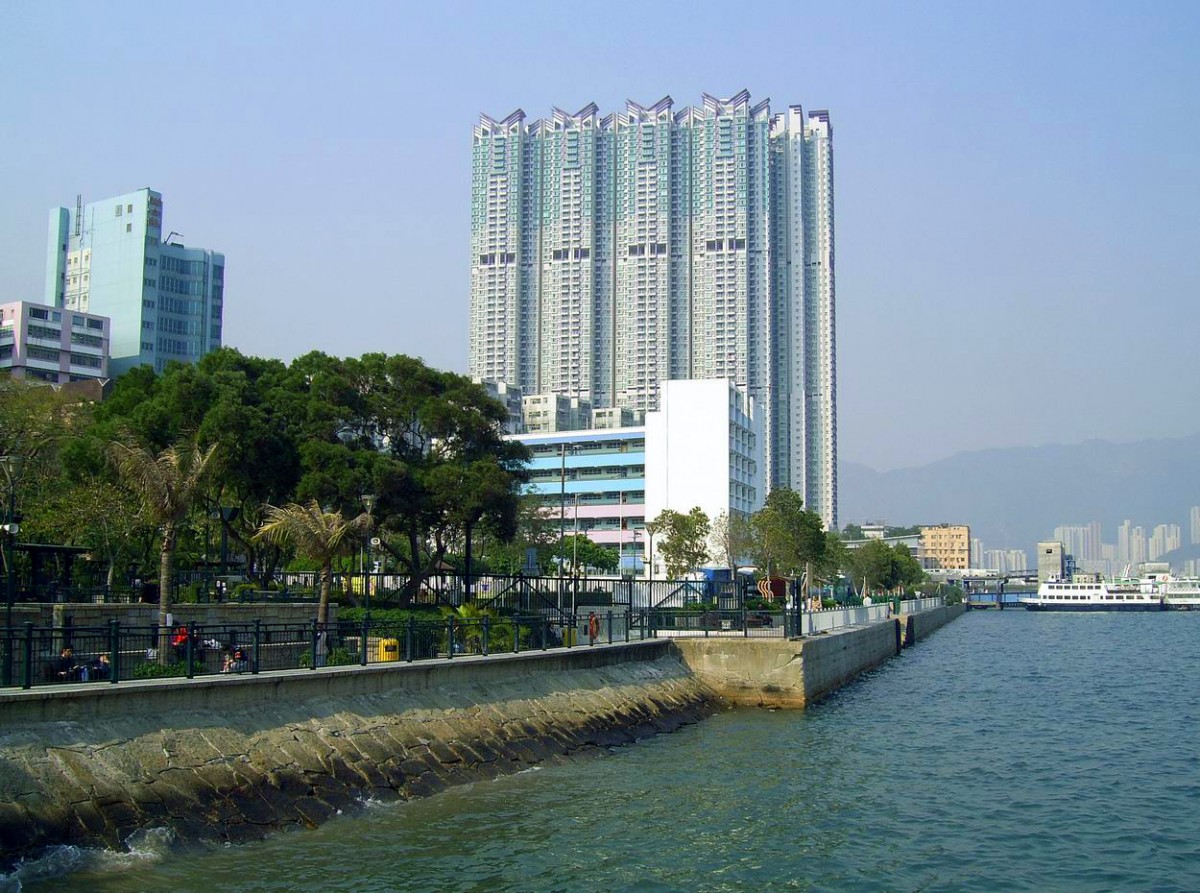 維基百科