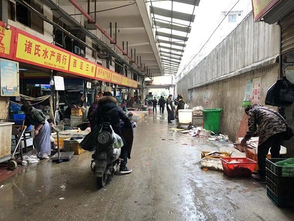 澎湃