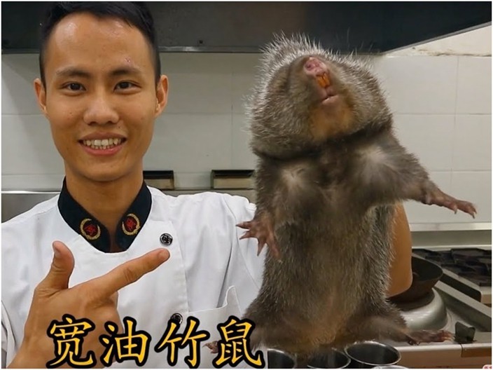 武漢肺炎竹鼠