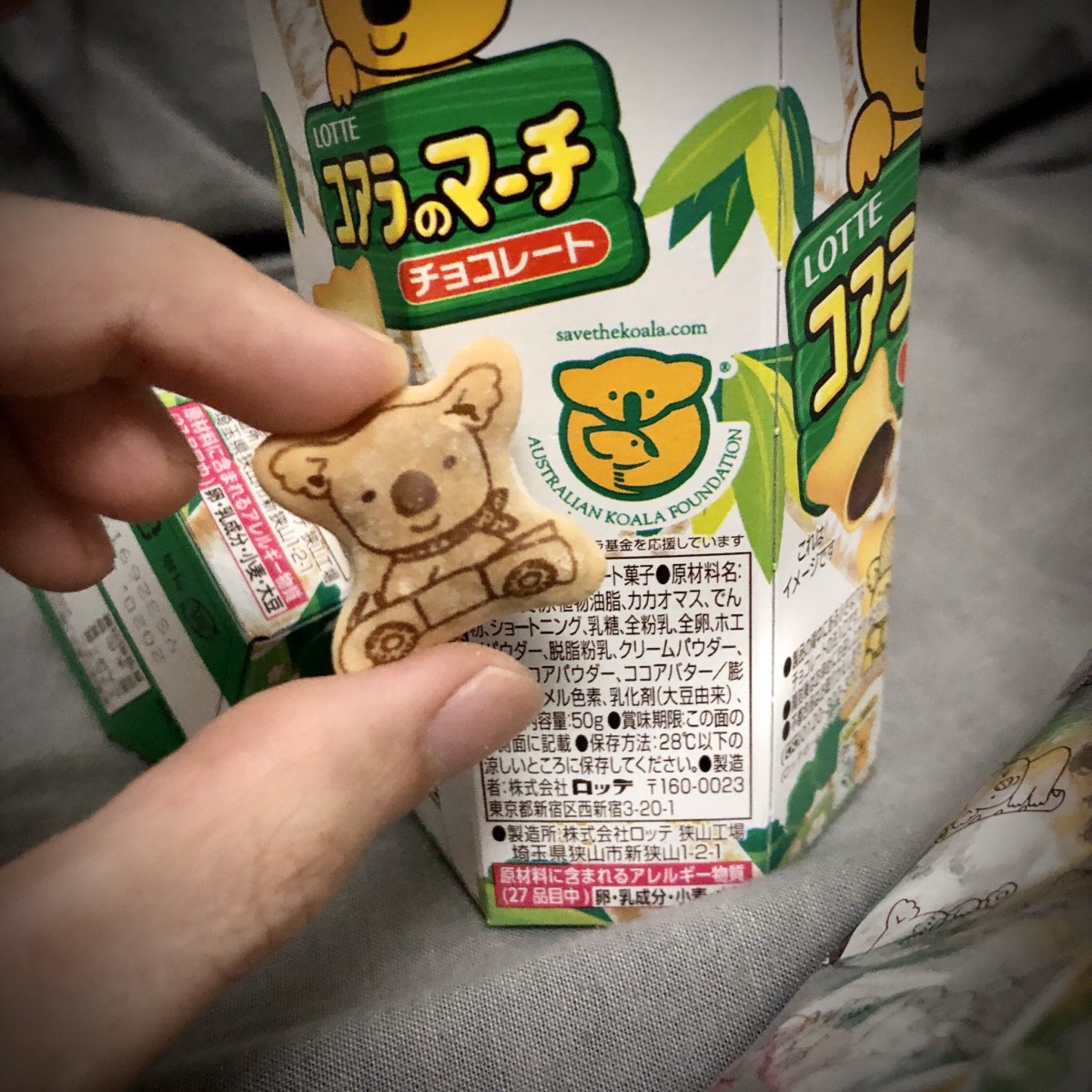 一名日本網友日前就在網絡上表示,生產「樂天熊仔餅」的樂天株式會社長久以來都會捐助澳洲無尾熊基金會,民眾可透過購買樂天熊仔餅來幫助受山火影響的樹熊。