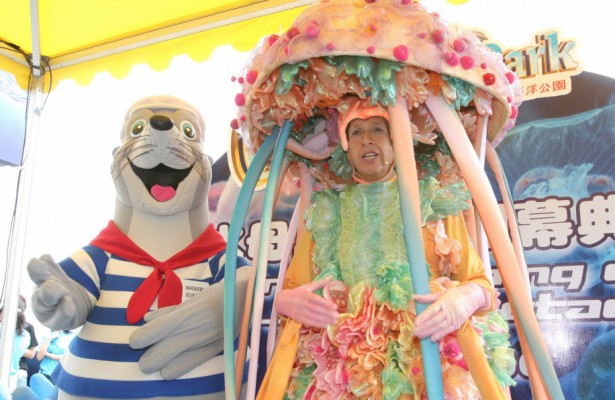 ocean park