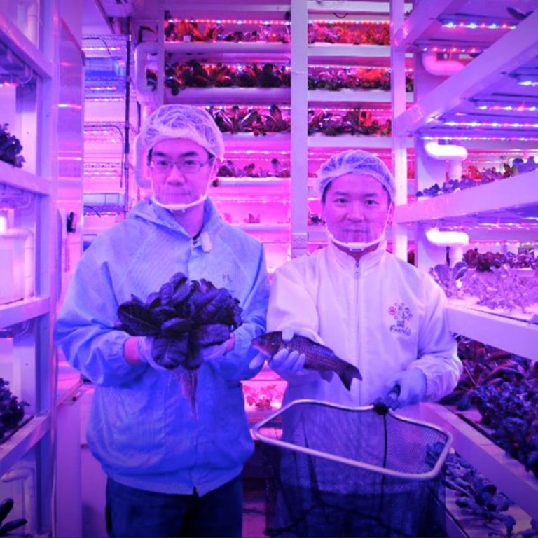 Farm66
