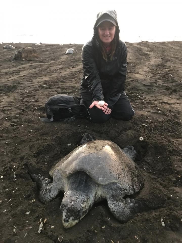 海洋動物保護組織Paso Pacifico
