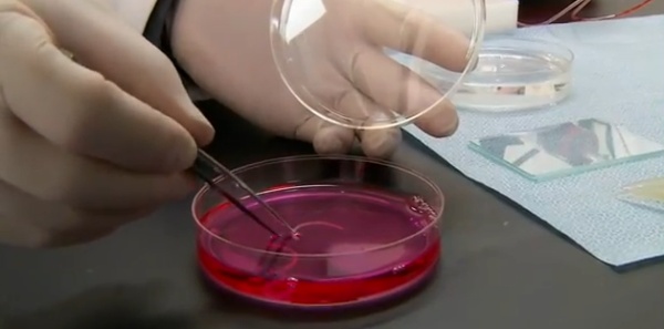 University of Bristol 