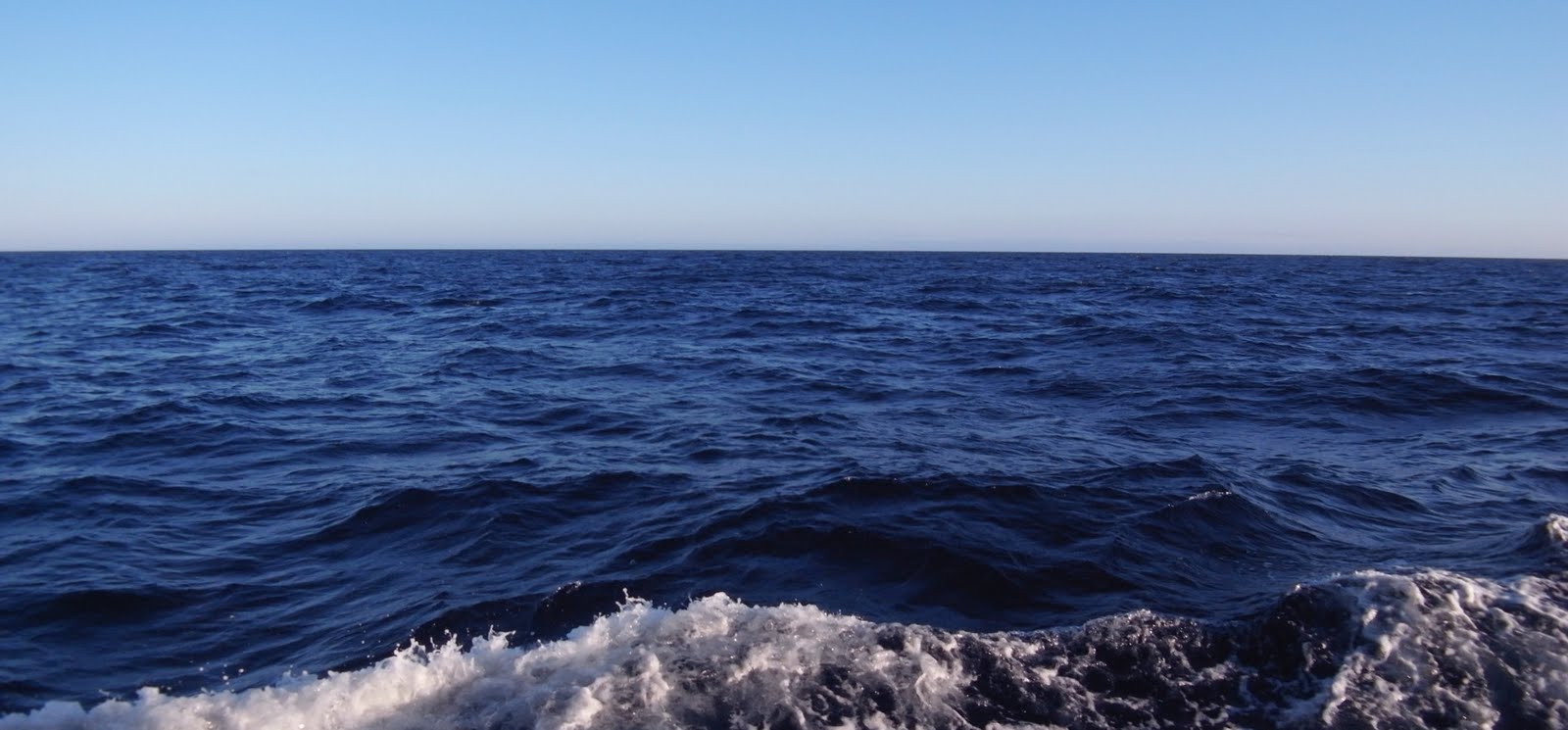 pacificmarinedebris.blogspot.com