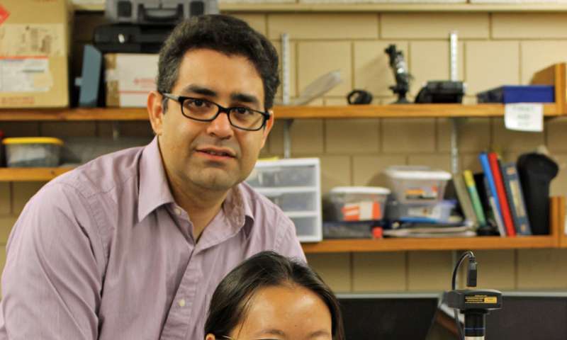 Iowa State University