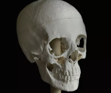 Melbourne University