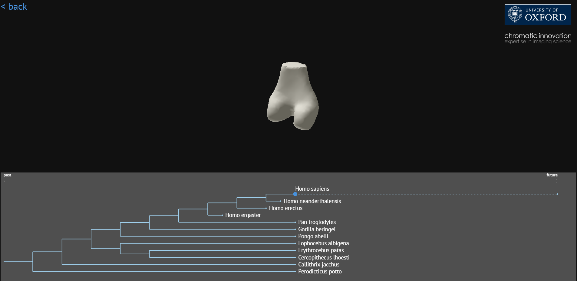 University of Oxford 
