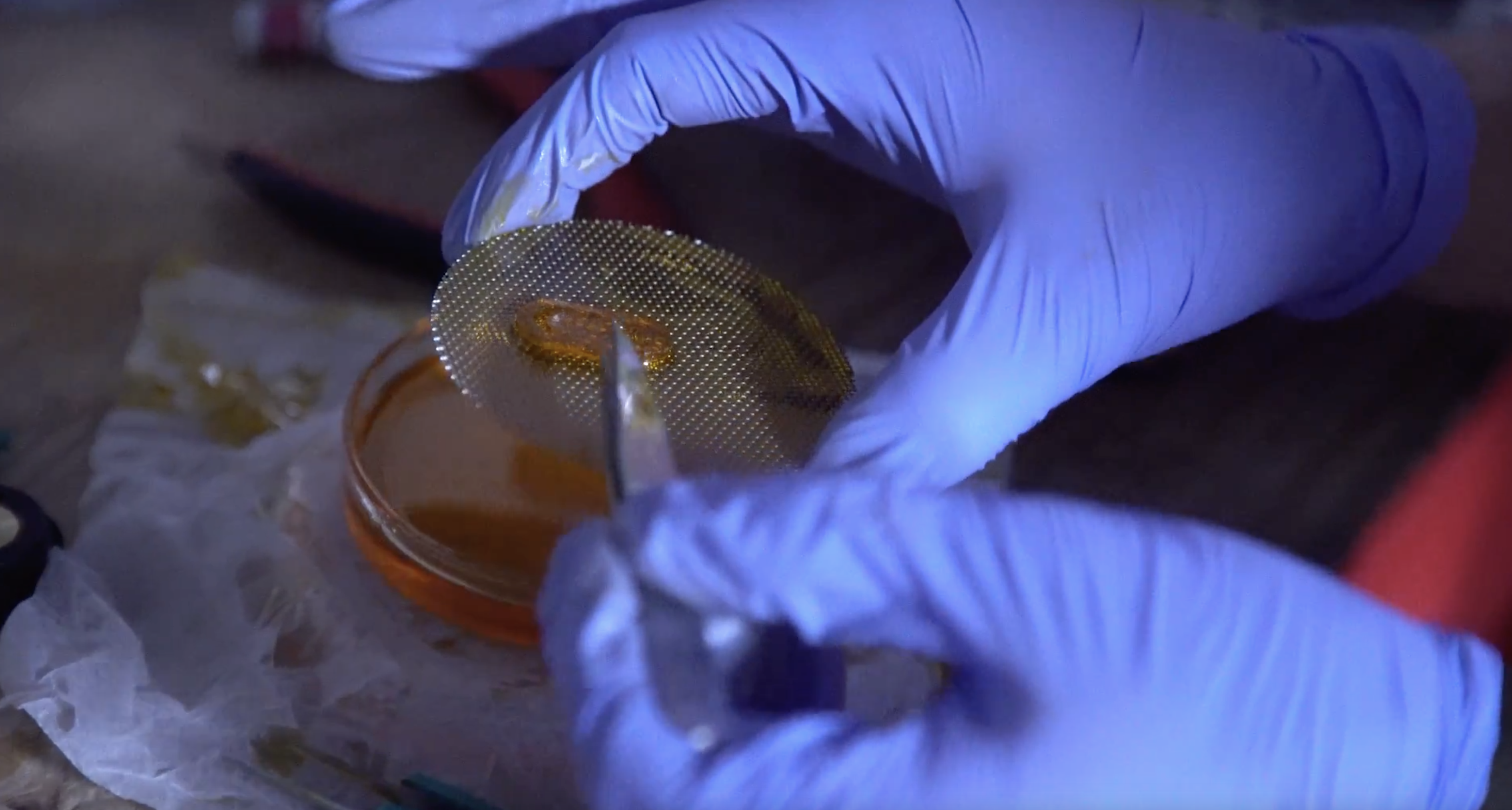 MIT Technology Review