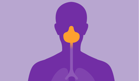 World Cancer Research Fund