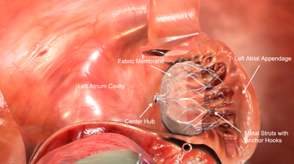 The Vancouver Clinic