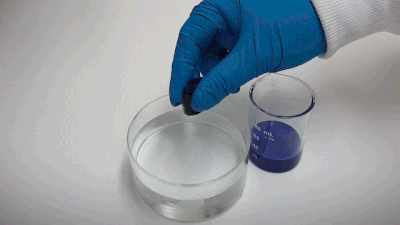 Argonne National Laboratory