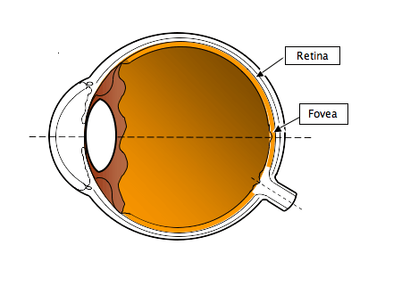 Craig Blackwell MD Opthamology