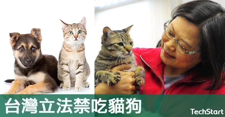 【亞洲首例】外媒一致大讚,台灣立法禁吃貓狗