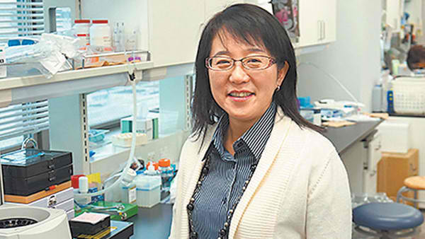 The Japan Daily Press