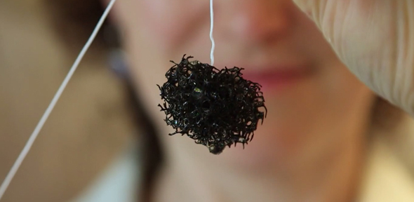 University of Cambridge 