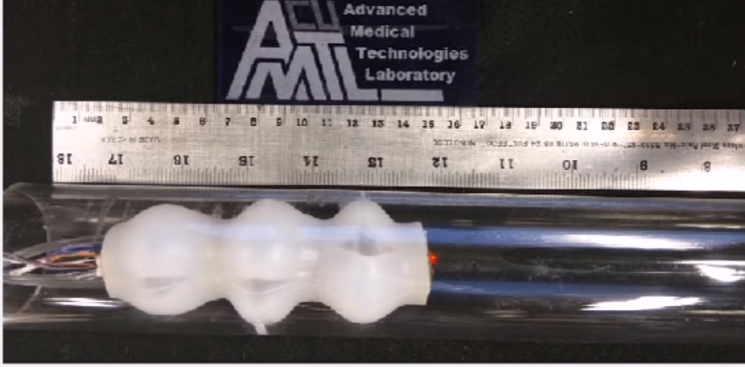 University of Colorado Boulder