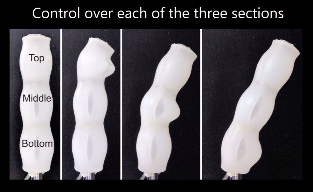 University of Colorado Boulder