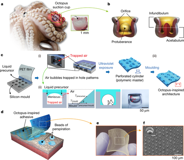 Sungkyunkwan University