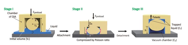 Sungkyunkwan University