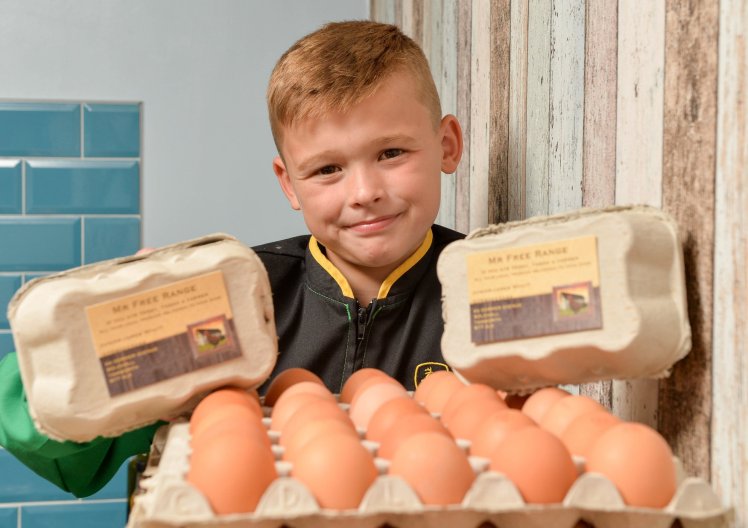 Junior Wyatt, 8, from Tamworth in Staffordshire is a young entrepreneur who has made a 'cracking' start to his business career by starting his own egg delivery company, Mr Free Range, after watching Channel 4's How'd You Get So Rich? TV show. See NTI story NTIEGGS. One of Britainâs youngest entrepreneurs earns Â£13,000 a year at the age of eight â from selling EGGS. Junior Wyatt flogs the eggs at a rate of Â£2 for six, Â£3.50 for 12 and Â£6 for 30 after collecting them from Bettyâs Farm shop in Derby. In the last week, he sold 750 eggs which earned him around Â£250 for the week and with the customer numbers on the rise, he could reach figures of Â£13,000 a year. The young entrepreneur from Tamworth, Staffs., delivers the eggs around the town which his mum, Georgina, has helped him with by setting up a Facebook page. Junior, who calls his business âMr Free Rangeâ, took the idea of an egg distribution service from the Channel 4 programme âHowâd You Get So Richâ â where a successful entrepreneur got his break selling eggs. The young businessman, who started his egg delivery service with only Â£10, said: "It has been so exciting earning my own money and meeting lots of new people.â
