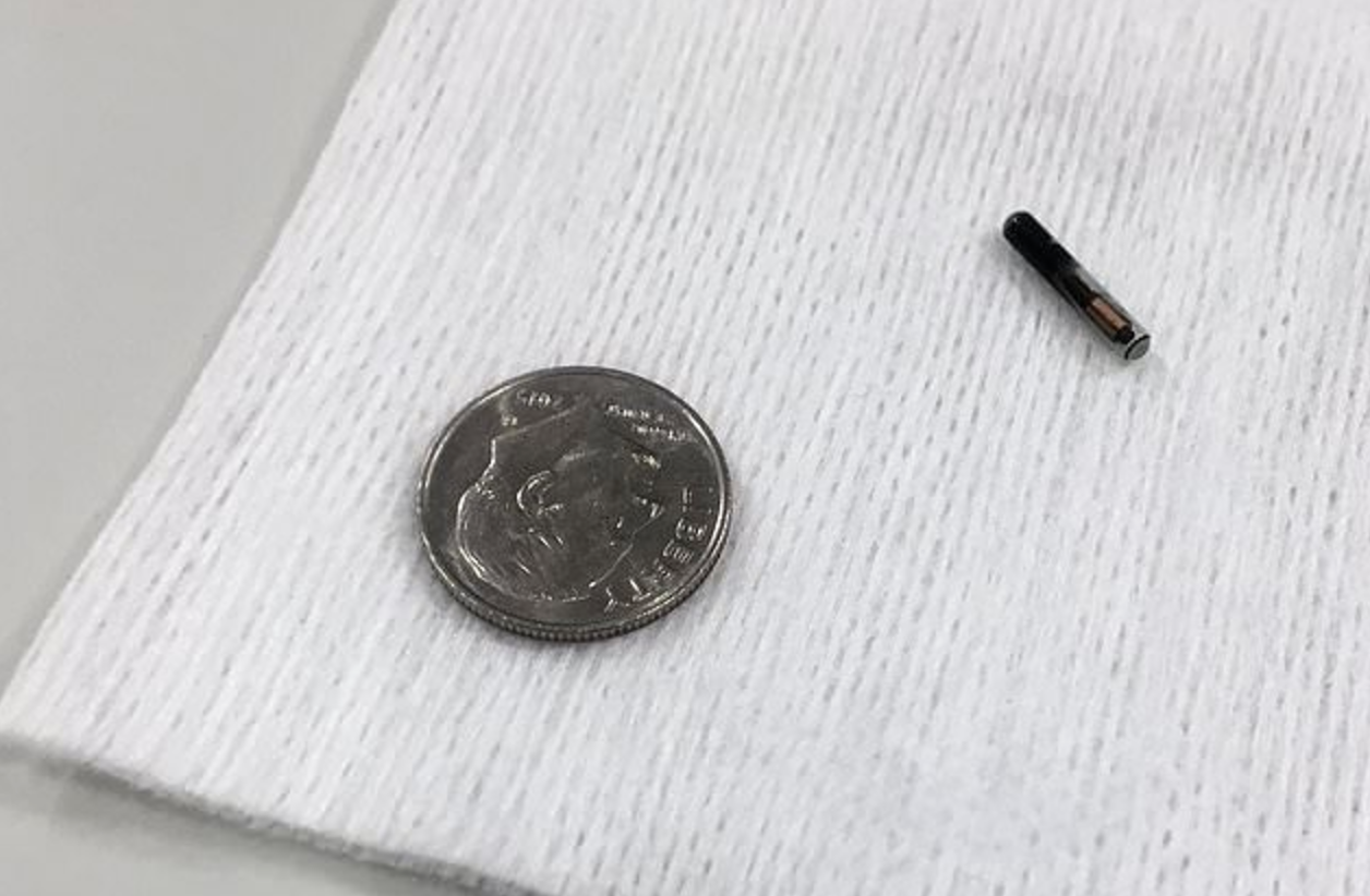 螢幕快照 2017-08-03 下午12.57.35