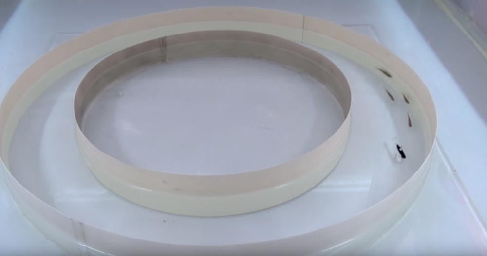 螢幕快照 2017-11-14 下午6.36.10