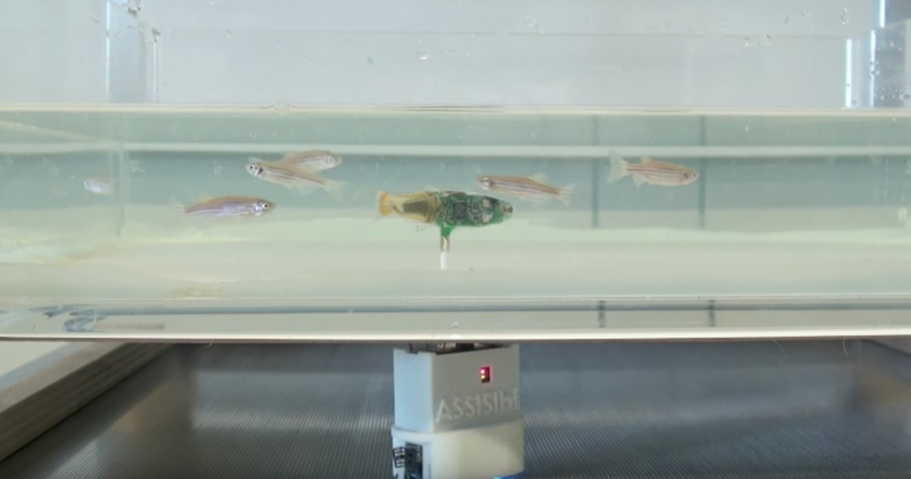 螢幕快照 2017-11-14 下午6.36.34