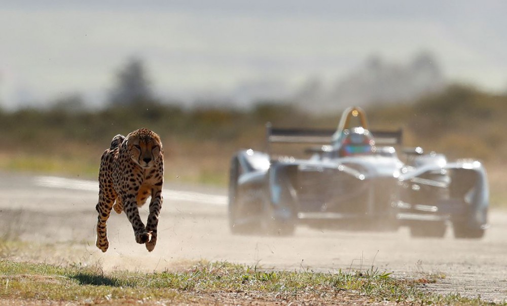 Formula E