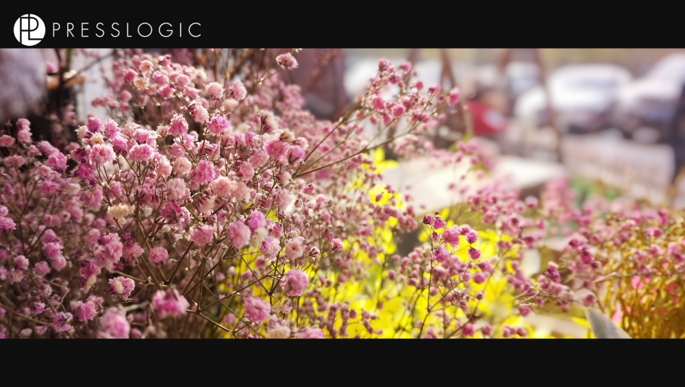 PressLogic 以美圖V6拍攝