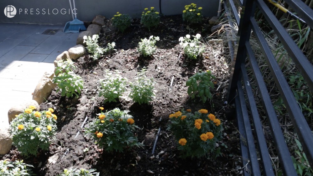 Screen Shot 2017-11-07 at 1.37.40 PM