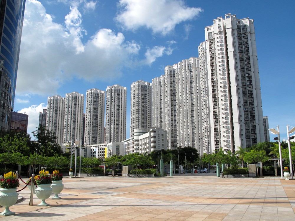 維基百科