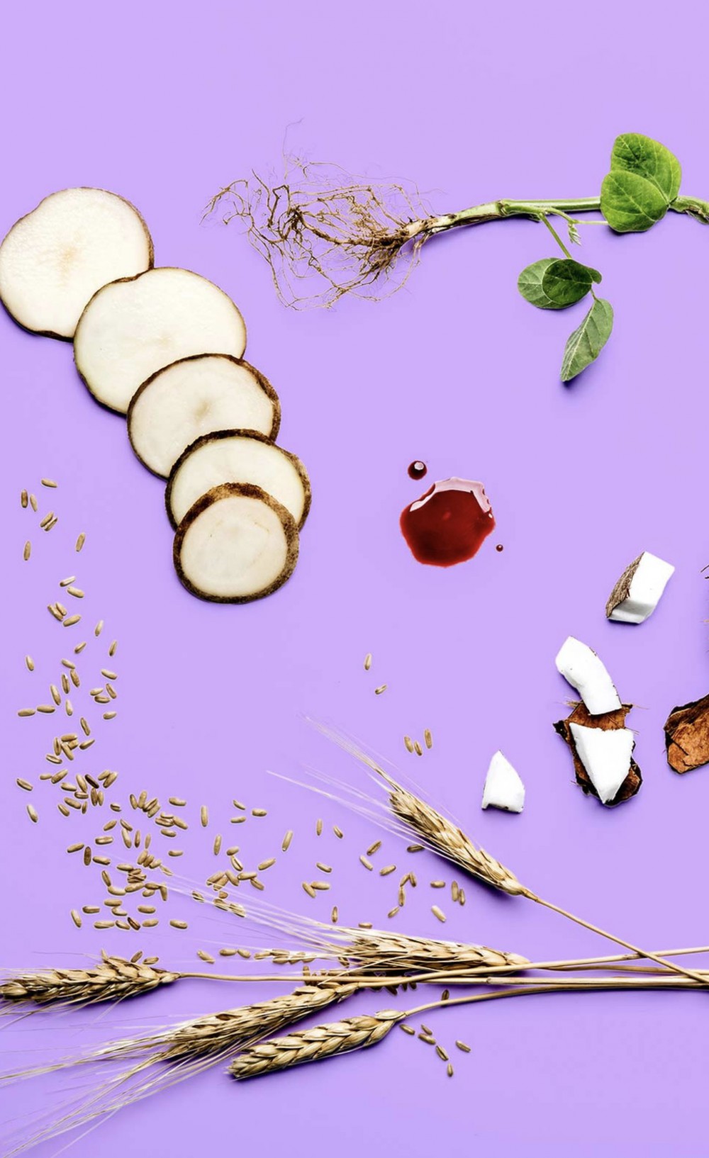 螢幕快照 2018-04-24 下午5.29.16