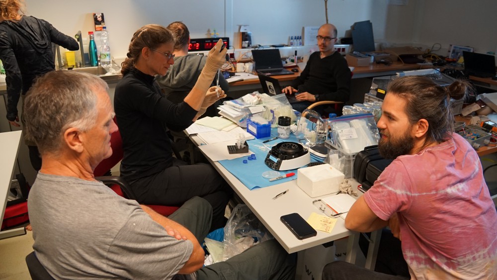 26238607338_e2d52f475d_o