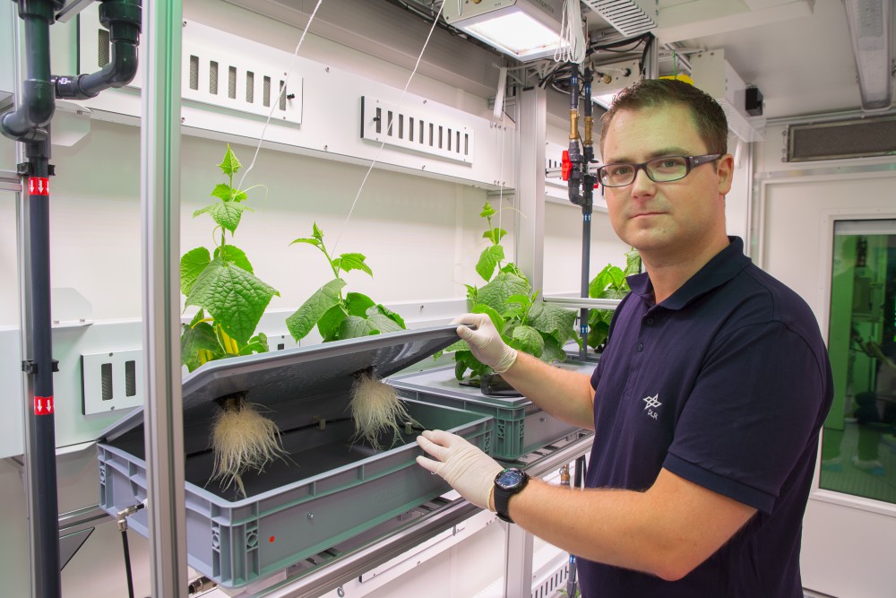 34853306544_19452dbcdf_o