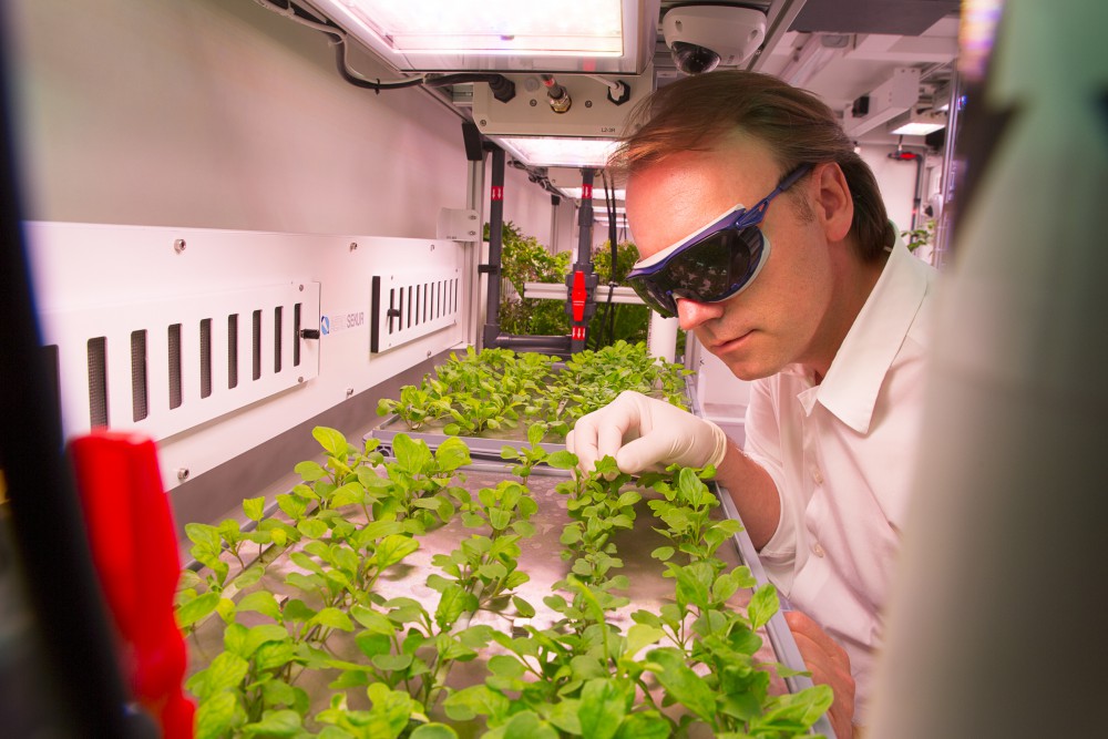 34885022703_b9b35c360a_o