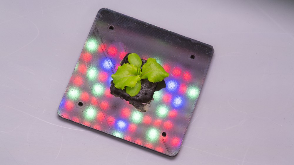 35655061196_e4a3f2e179_o