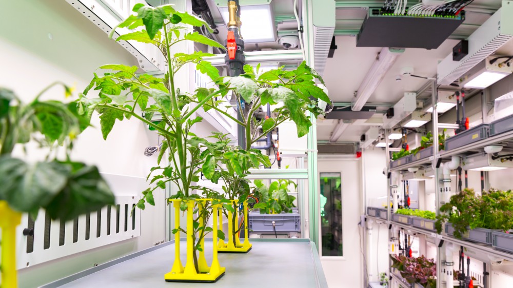 35655063656_6af4ea374d_o