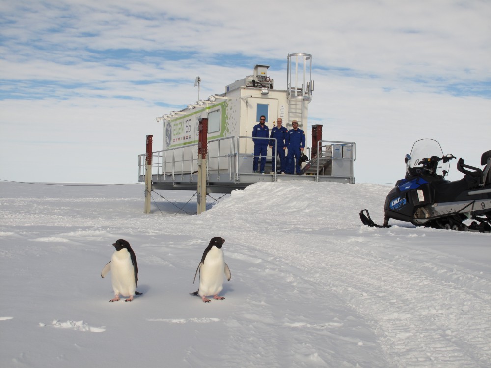 38548418320_d5b5e866e8_o