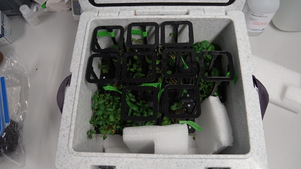 39400704924_24c1884d46_o