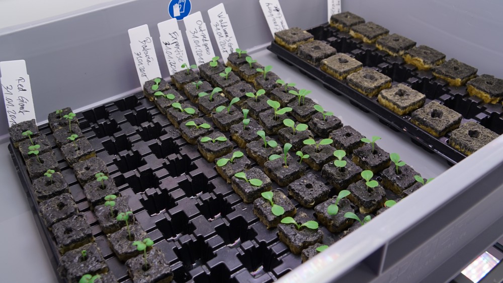 39420752714_c6534b8912_o (1)