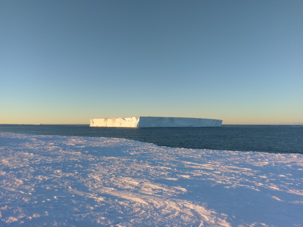 39442403190_bb16a8b55a_o