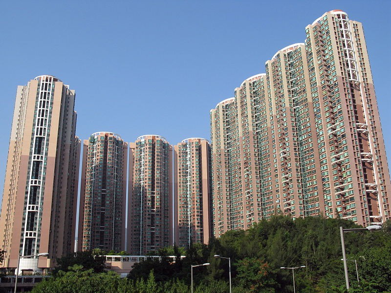 維基百科