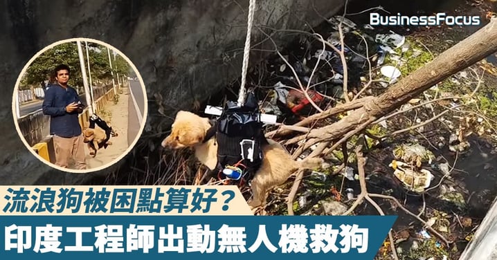 【勞師動眾】流浪狗被困點算好？印度工程師出動無人機救狗