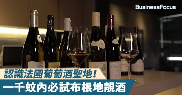 【專家教路】認識法國葡萄酒聖地!一千蚊內必試布根地靚酒