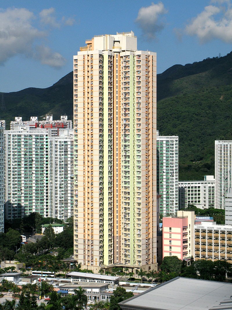 維基百科