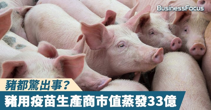 【豬都驚出事?】疫苗風波沖擊股市,豬用疫苗生產商市值蒸發33億元人民幣