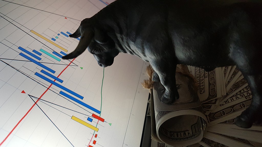 shutterstock_1264272592