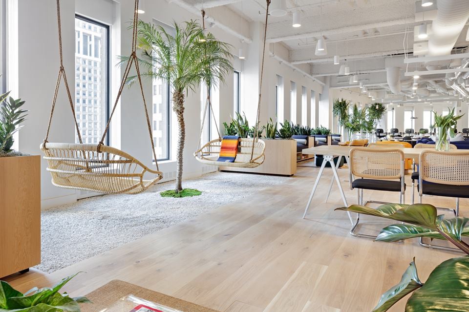 52713022_2686375028041206_5999500414028873728_n